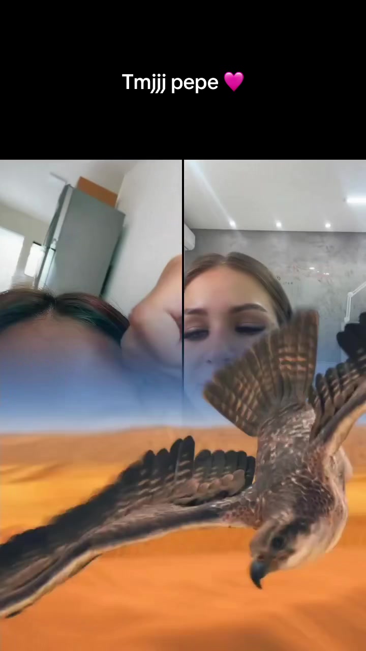 @vekanandre_00