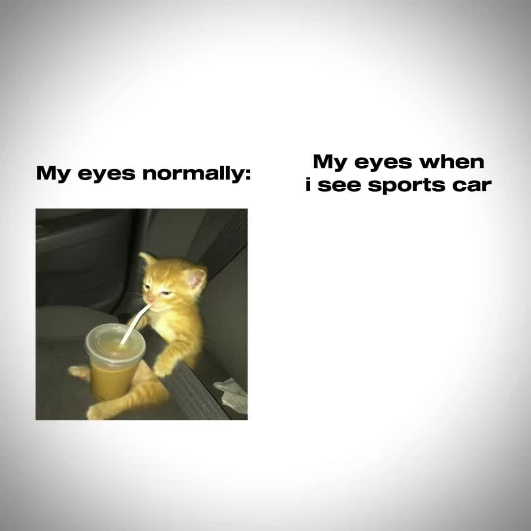 @CARS HYPE