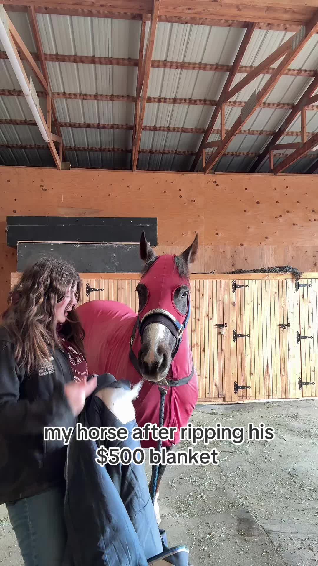 @anna