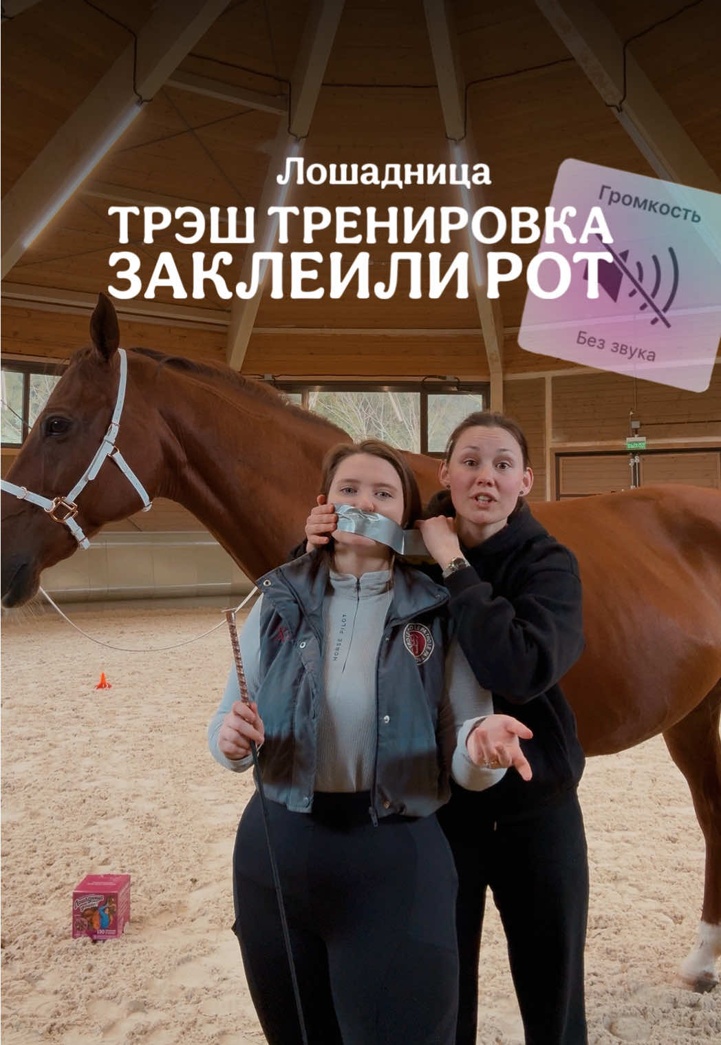 @Лошадница