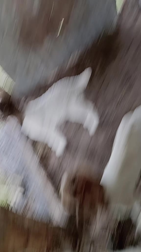 @marisolmartinez5447
