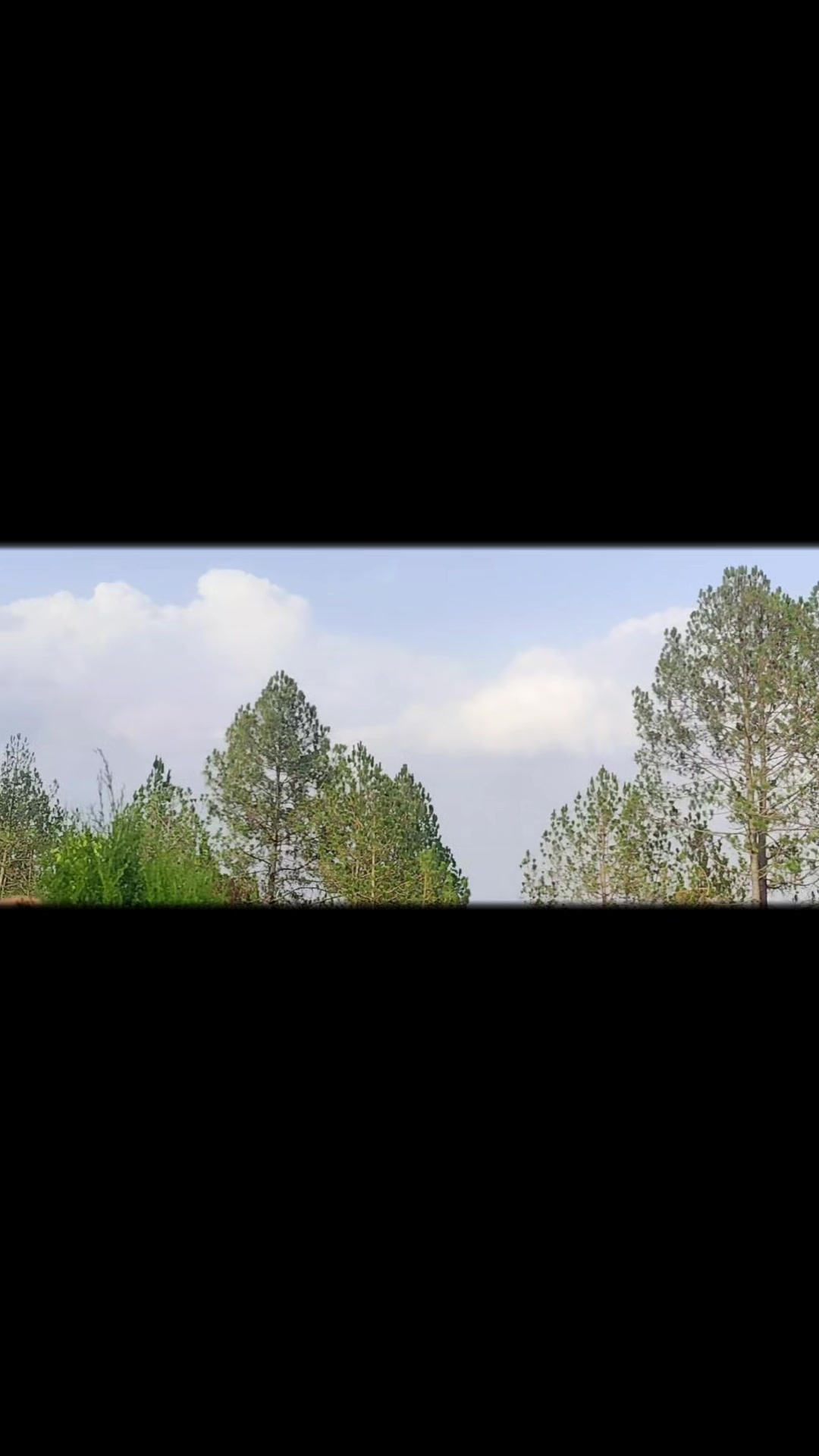 @गिरीराज भण्डारी🇳🇵❤️🇳🇵🌹