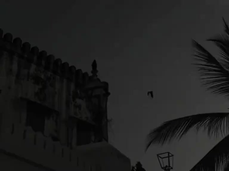 @ғᴀᴛɪᴍᴀ ᥫ᭡