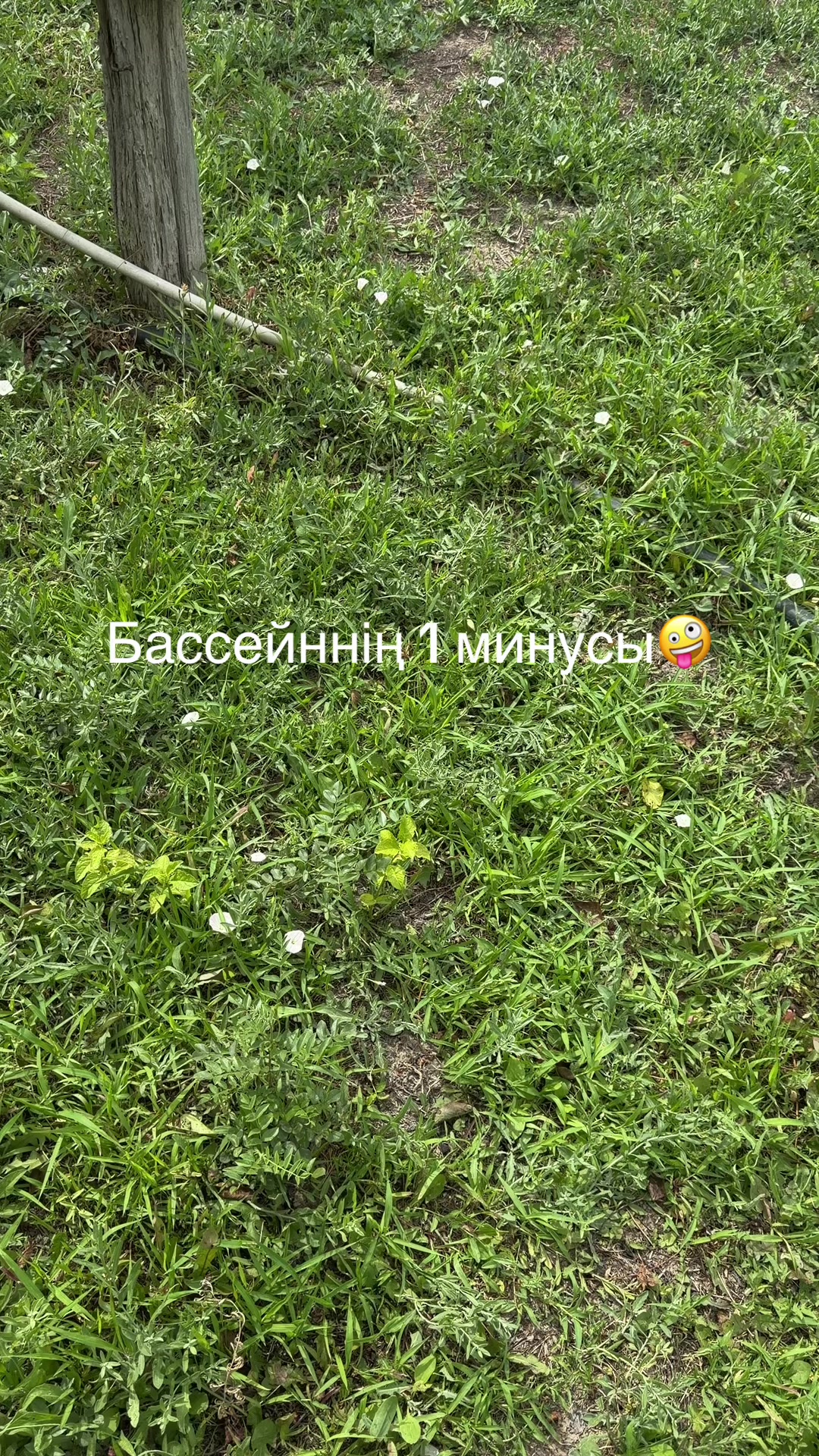 @AidanaUtegenovna