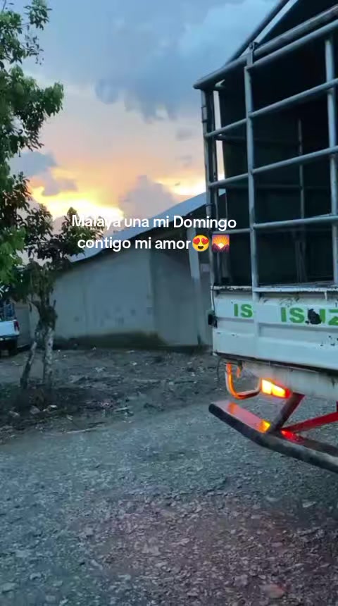 @Alexander😻❤️🩹