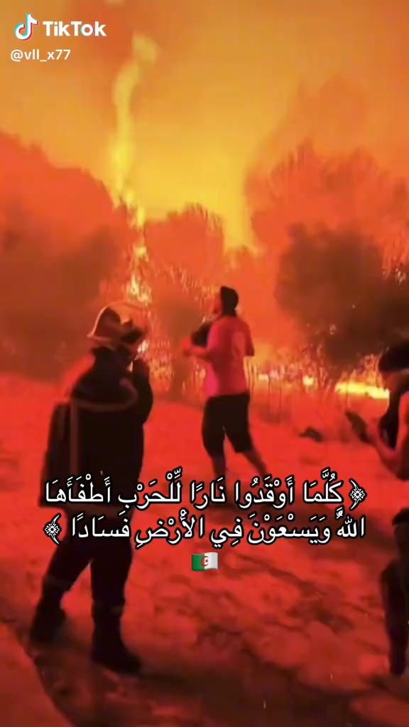 @🇩🇿غيث الجزائري 🇩🇿
