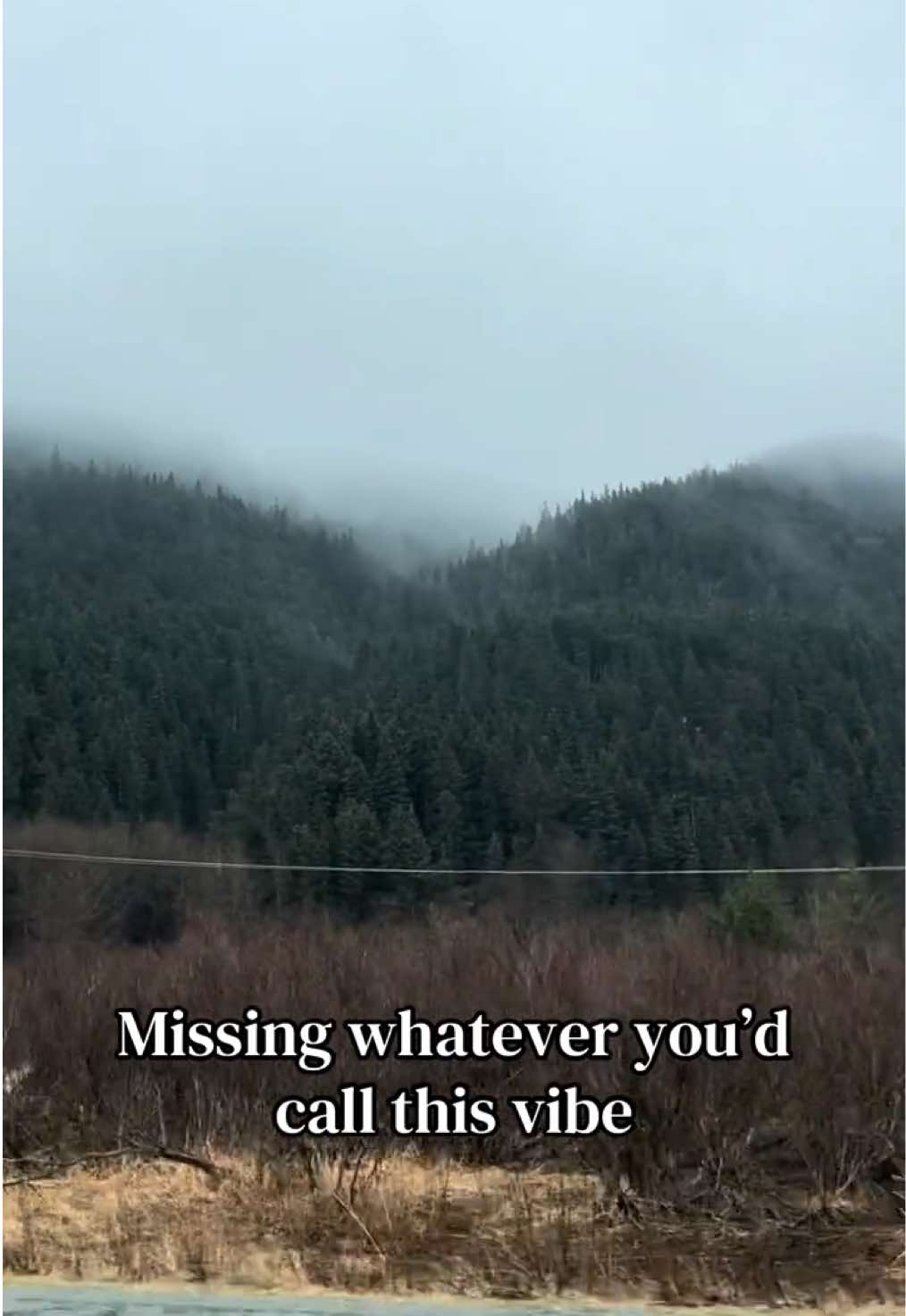 @Chasey Campbell 🏔️🕷️🐾