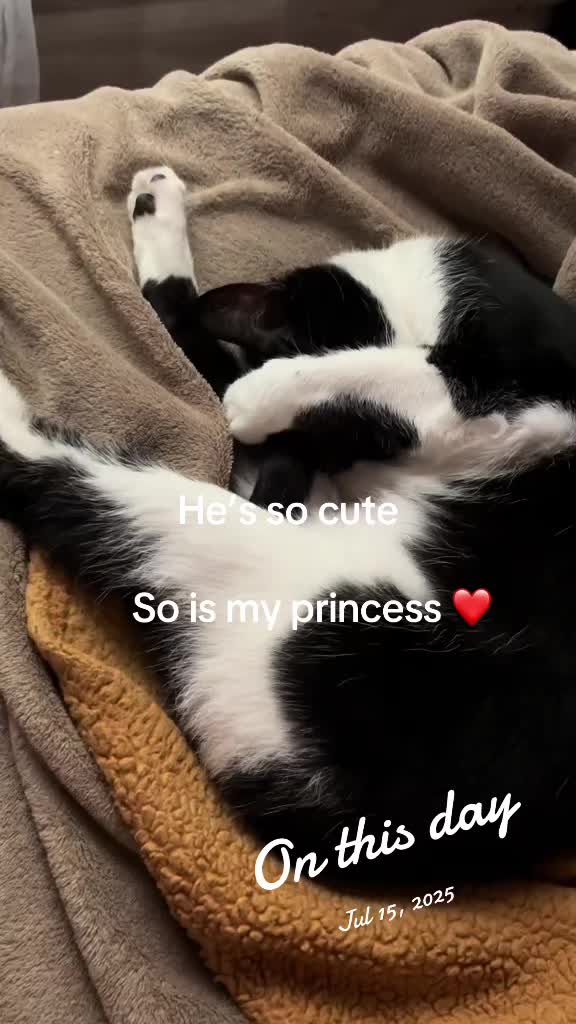 @サクラ🌸
