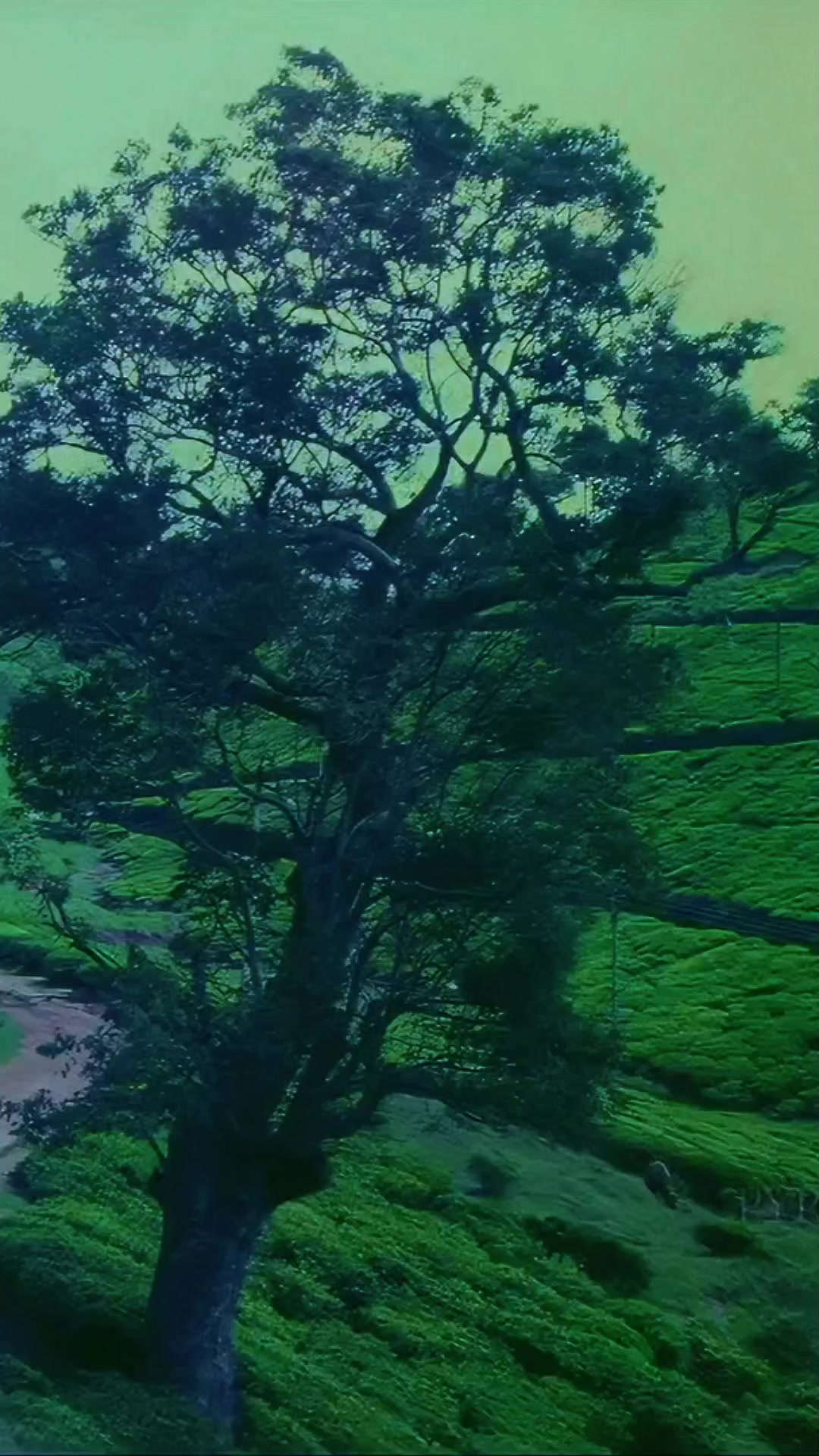 @𝕾.𝕸.𝕽𝖆𝖏𝖆..🎶