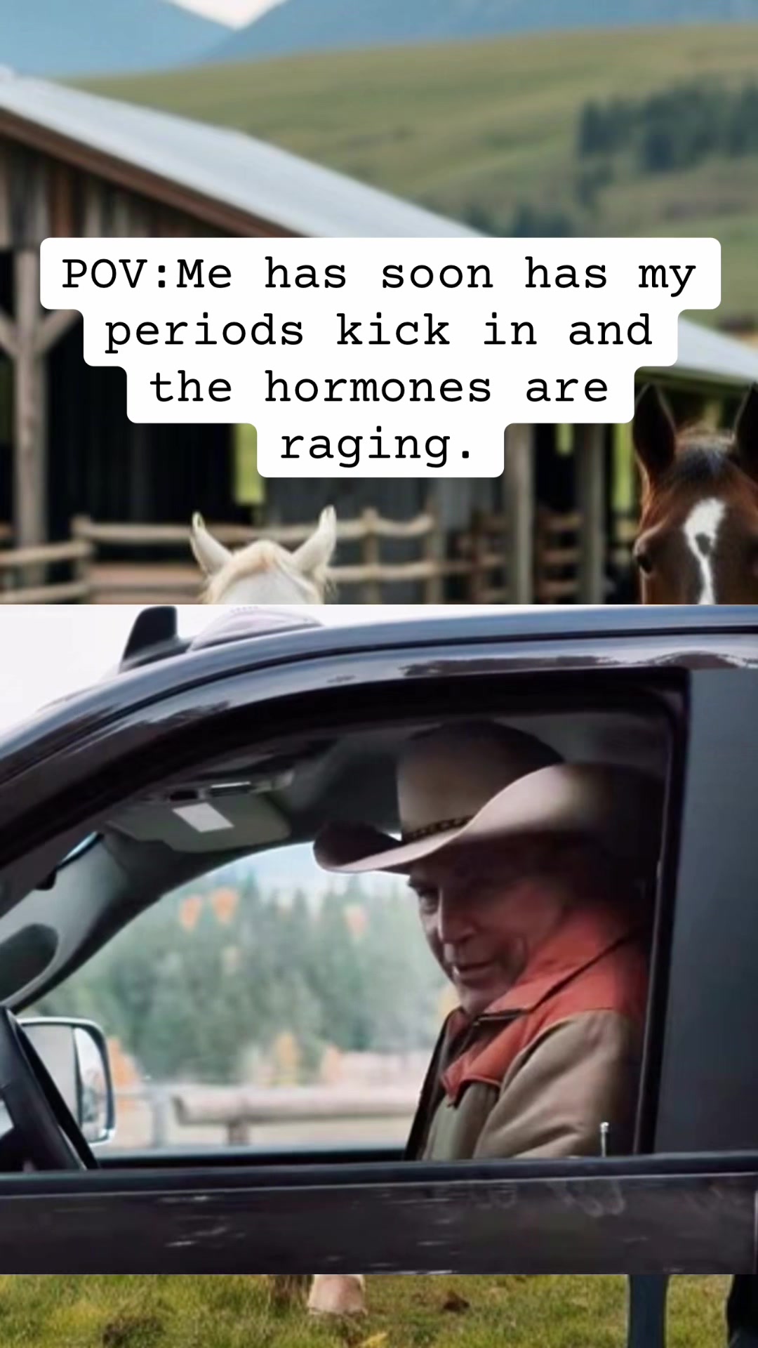 @Randomized Content Australia❌️
