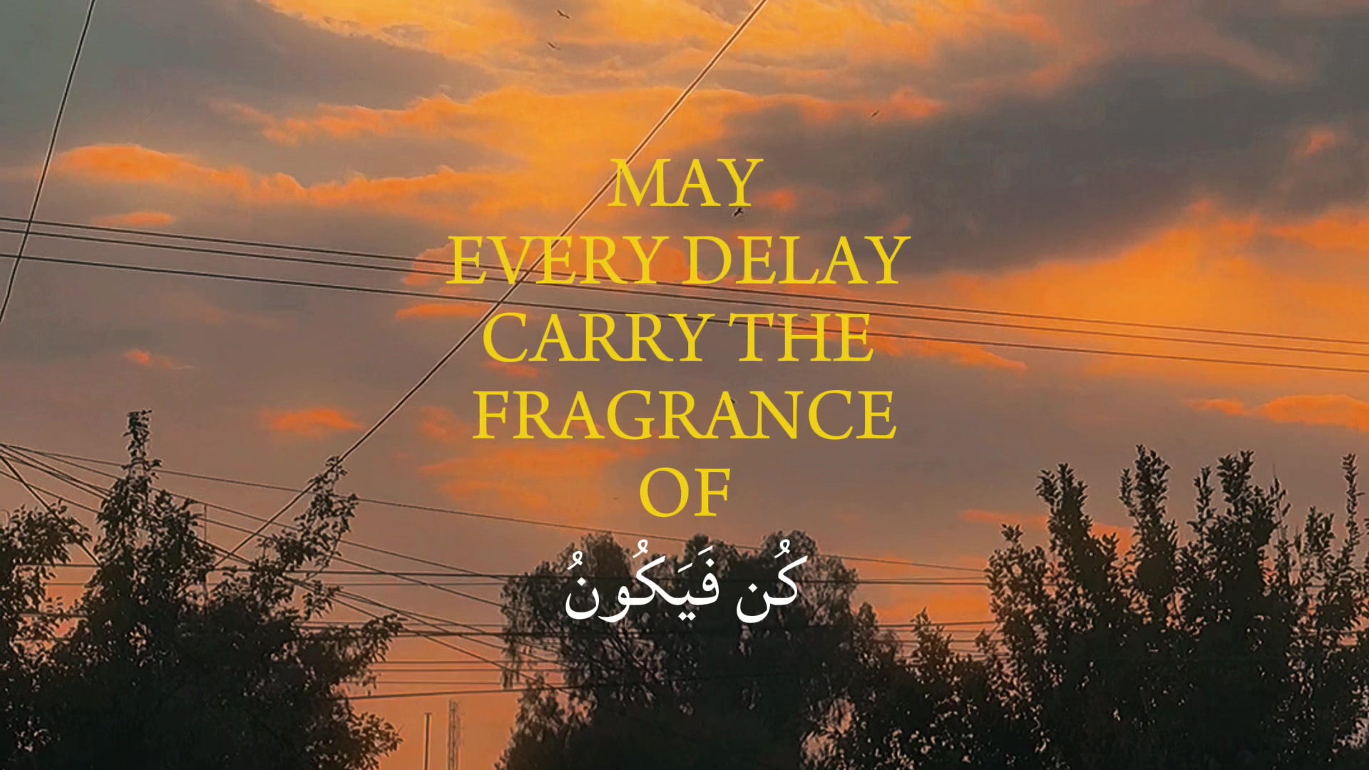 @Mariam 🌸