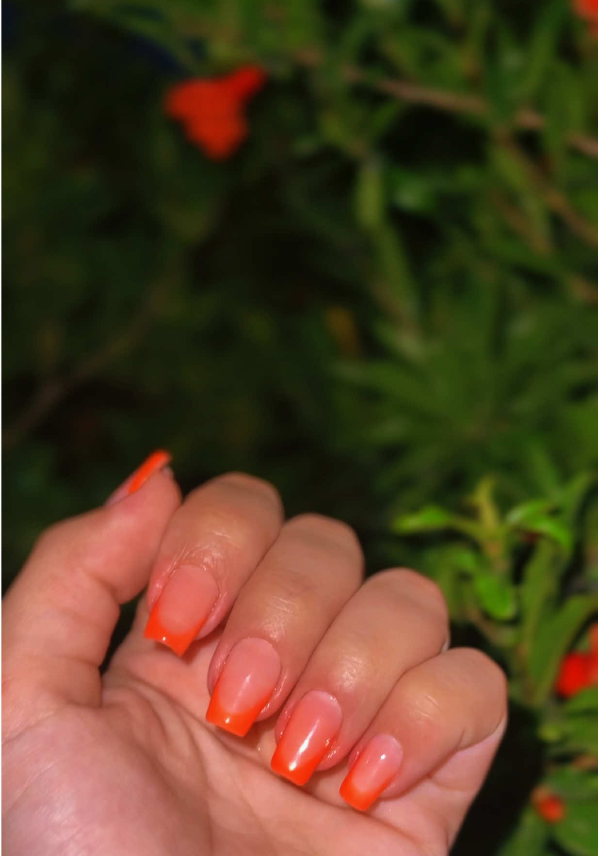 @Zehra.14