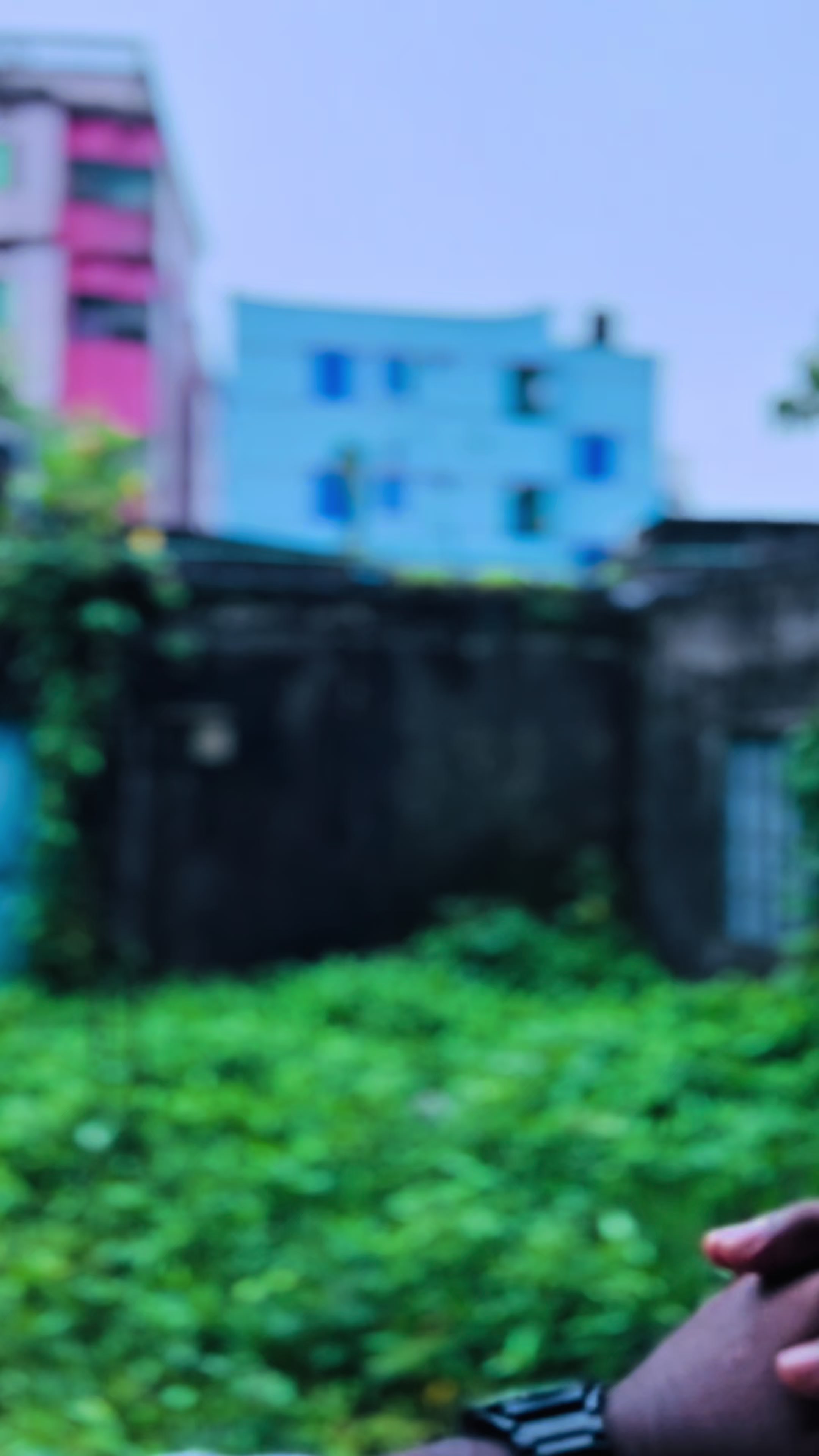 @ভাইজান রেস্তোরাঁ🍽️🥗 লোহাগাড়া