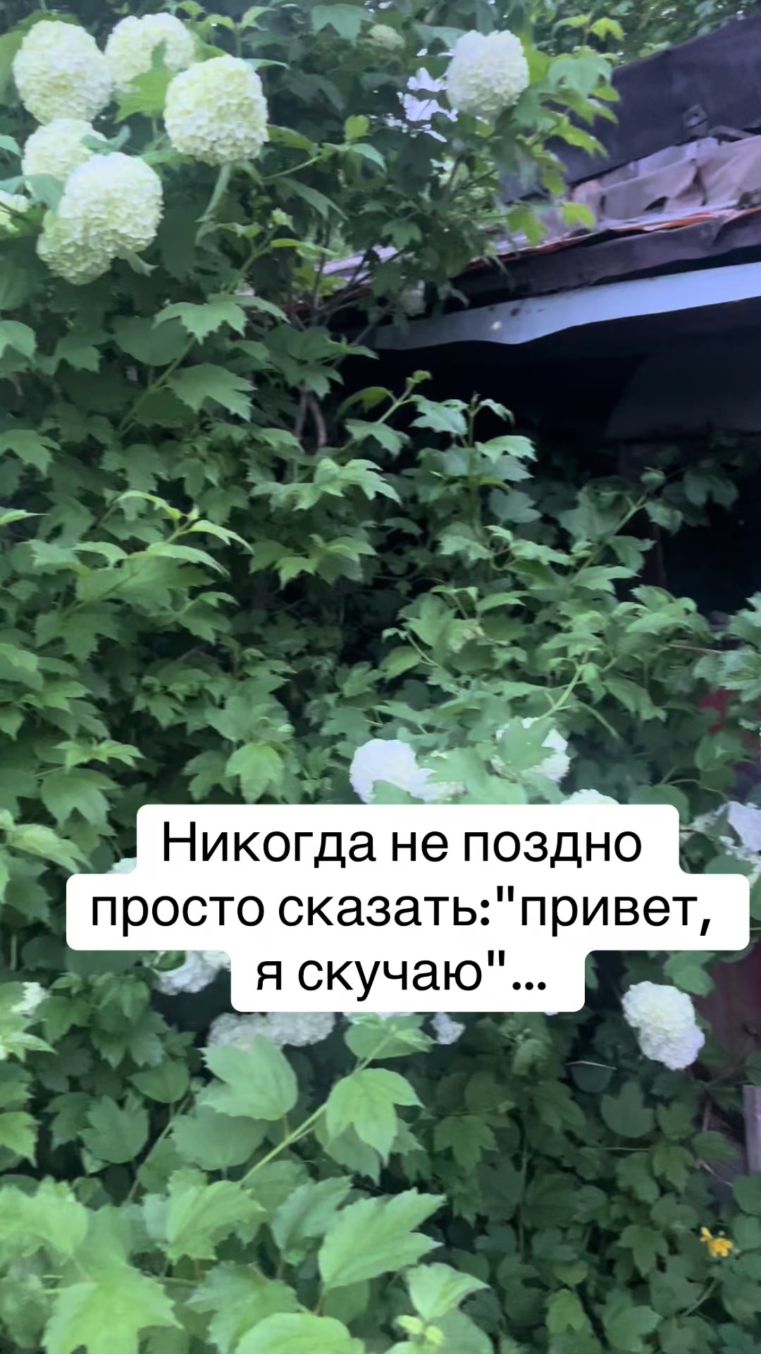 @Юлия