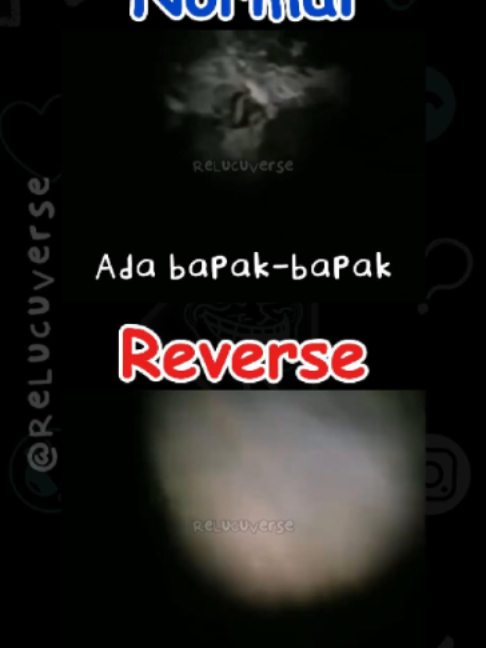 @ReLucuVerse