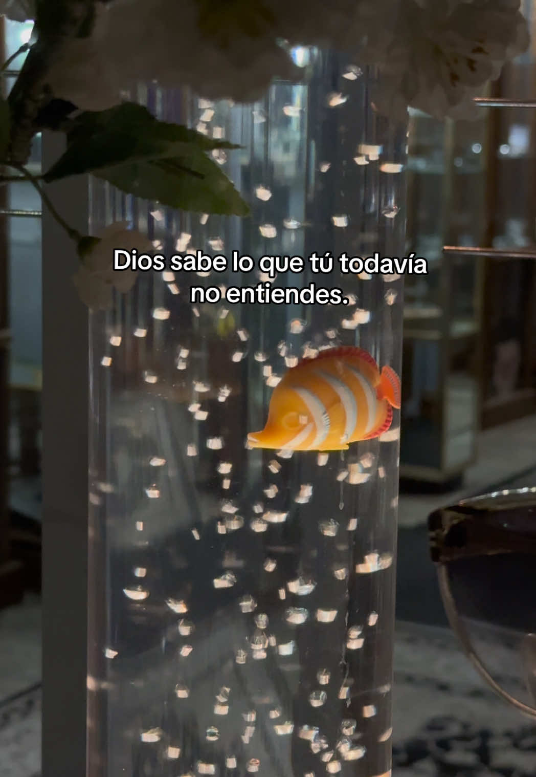 @𝑬𝑳 𝑩𝑶𝑺𝑻𝑶𝑵