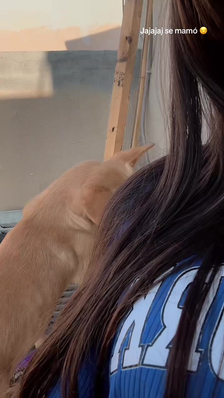 @yammlizz12