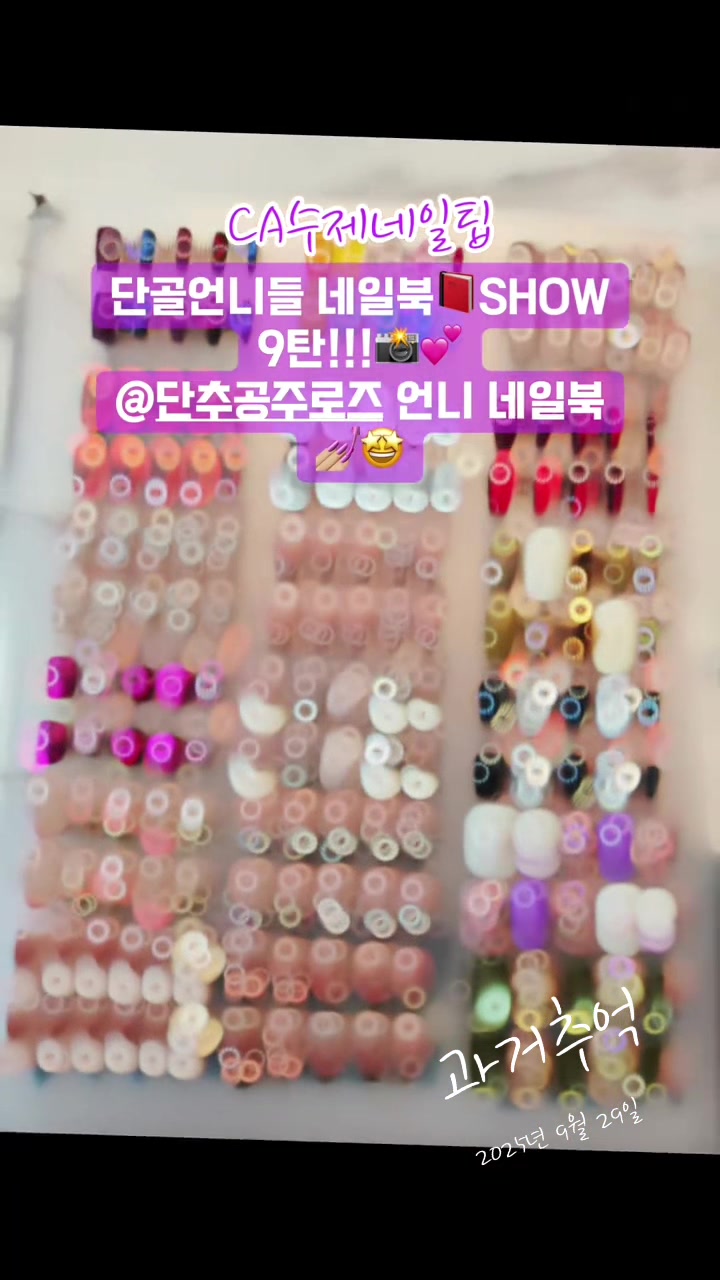 @CA 수제네일팁 본계정