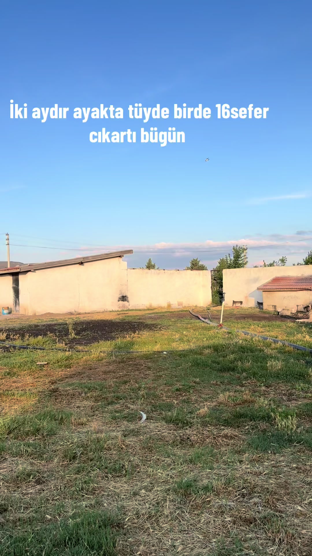@Muhammet Demir246