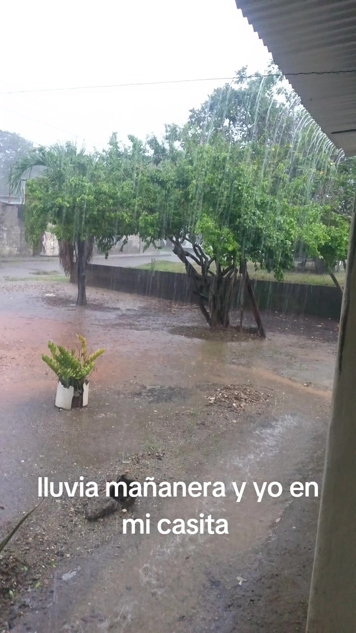 @PedroBaldallo 07