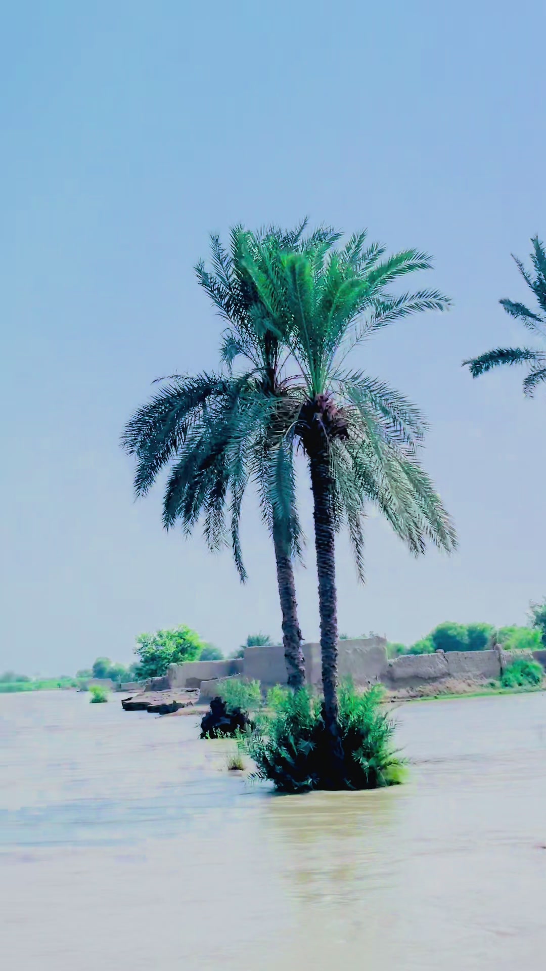 @محمد شیراز خان لسکانی