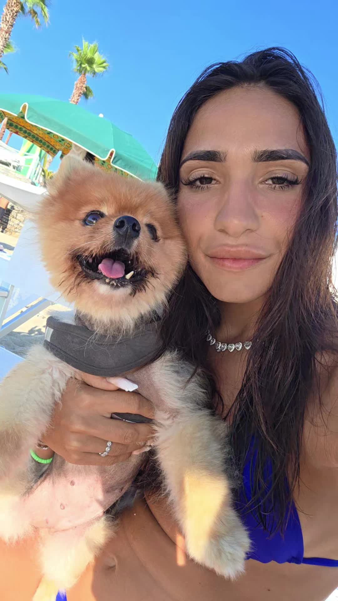 @Labarista98
