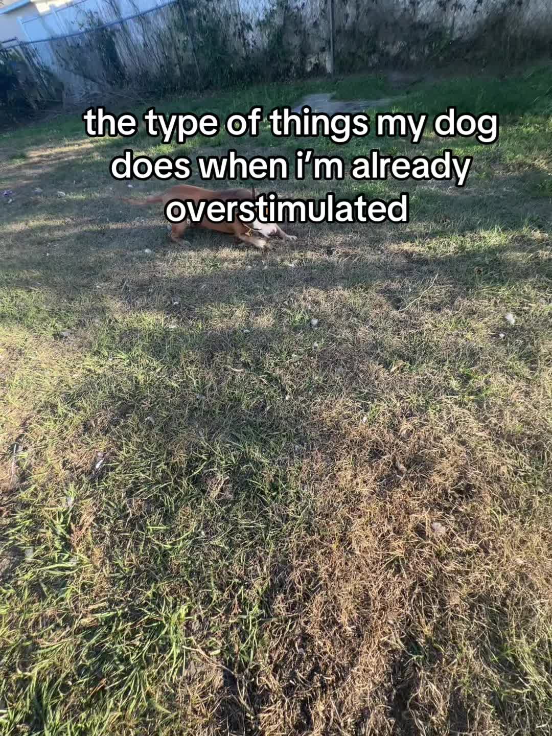 @<