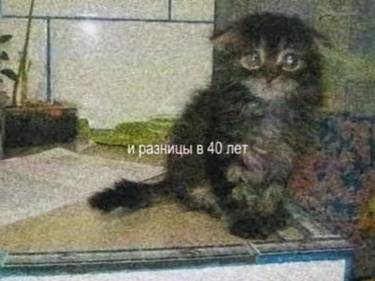 @оляска