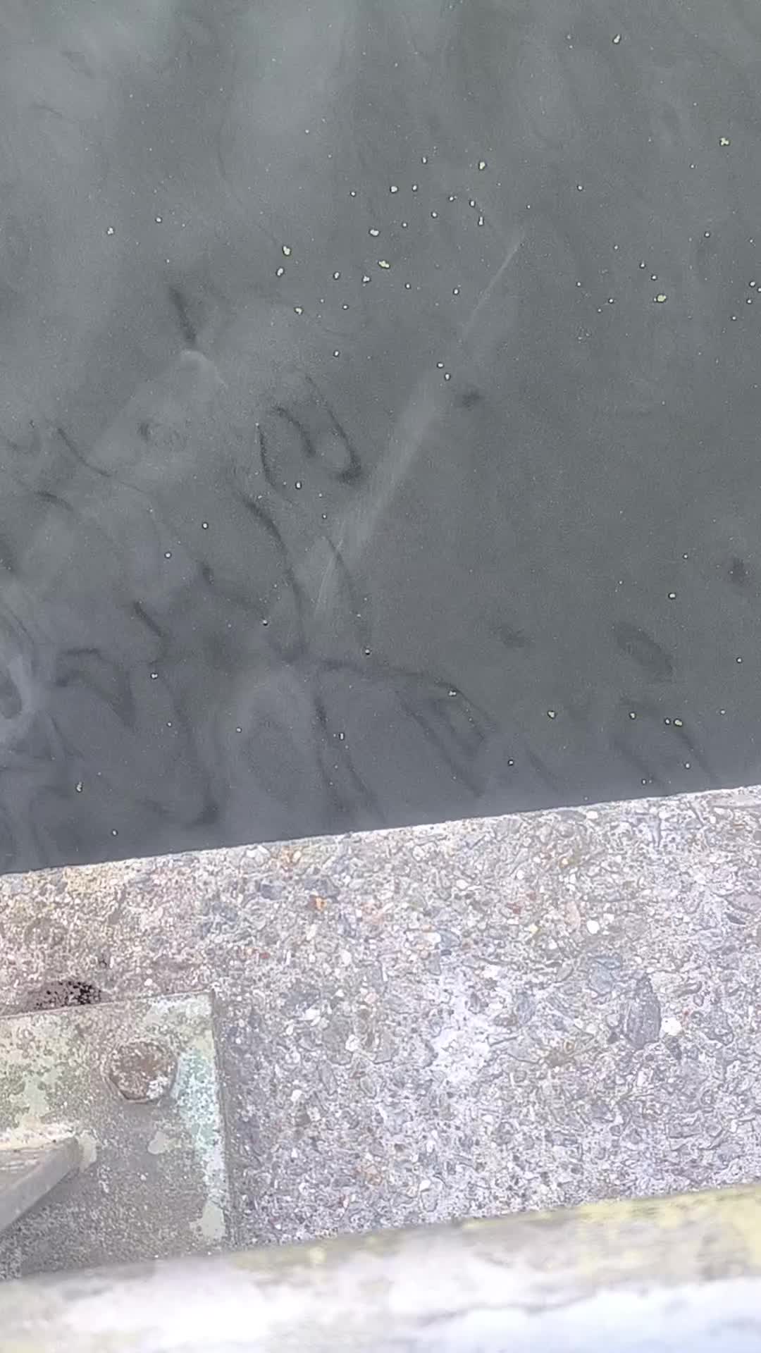 @Jocarpfishing