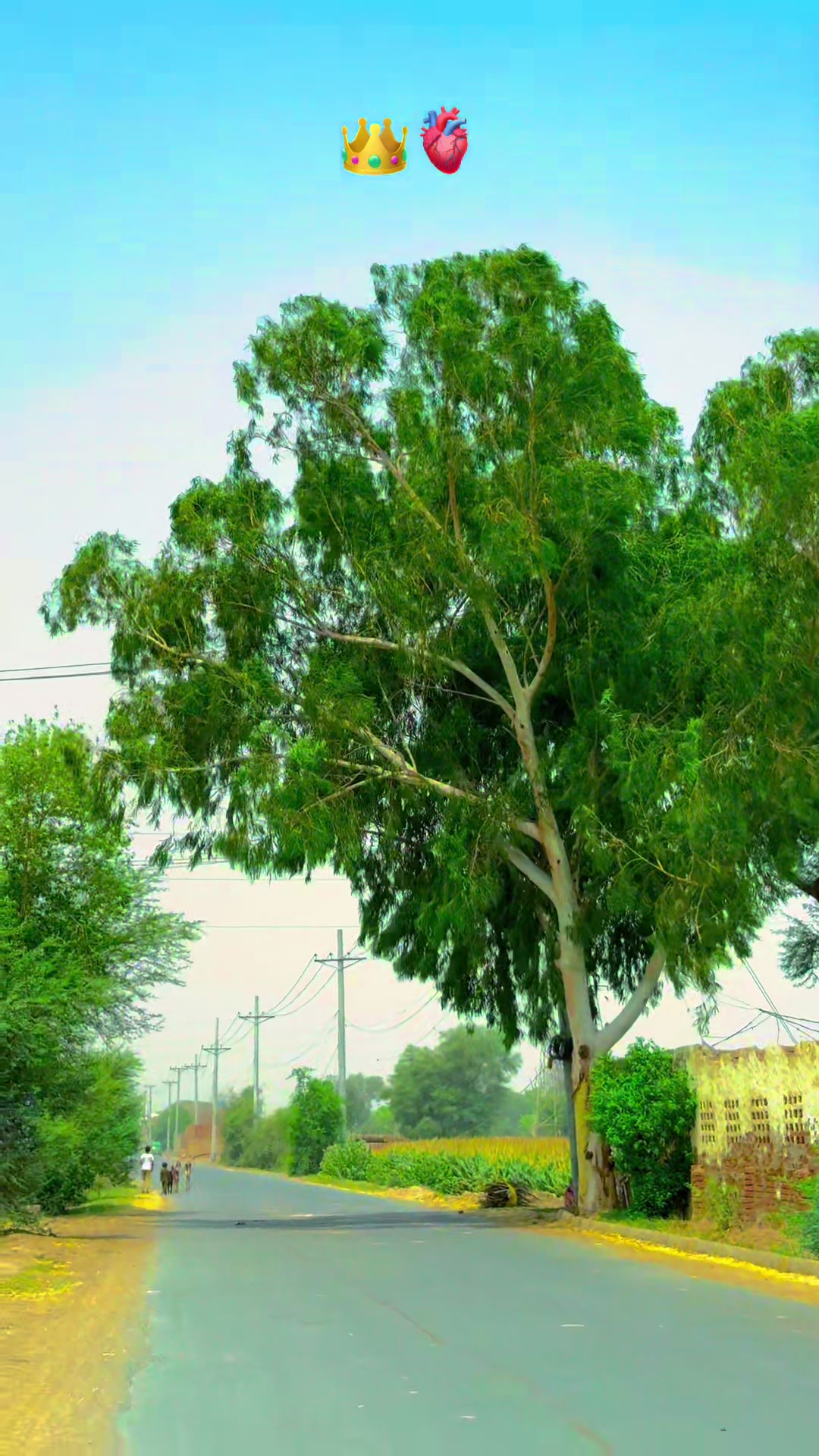 @پنجابی کلچر 🌾🍂