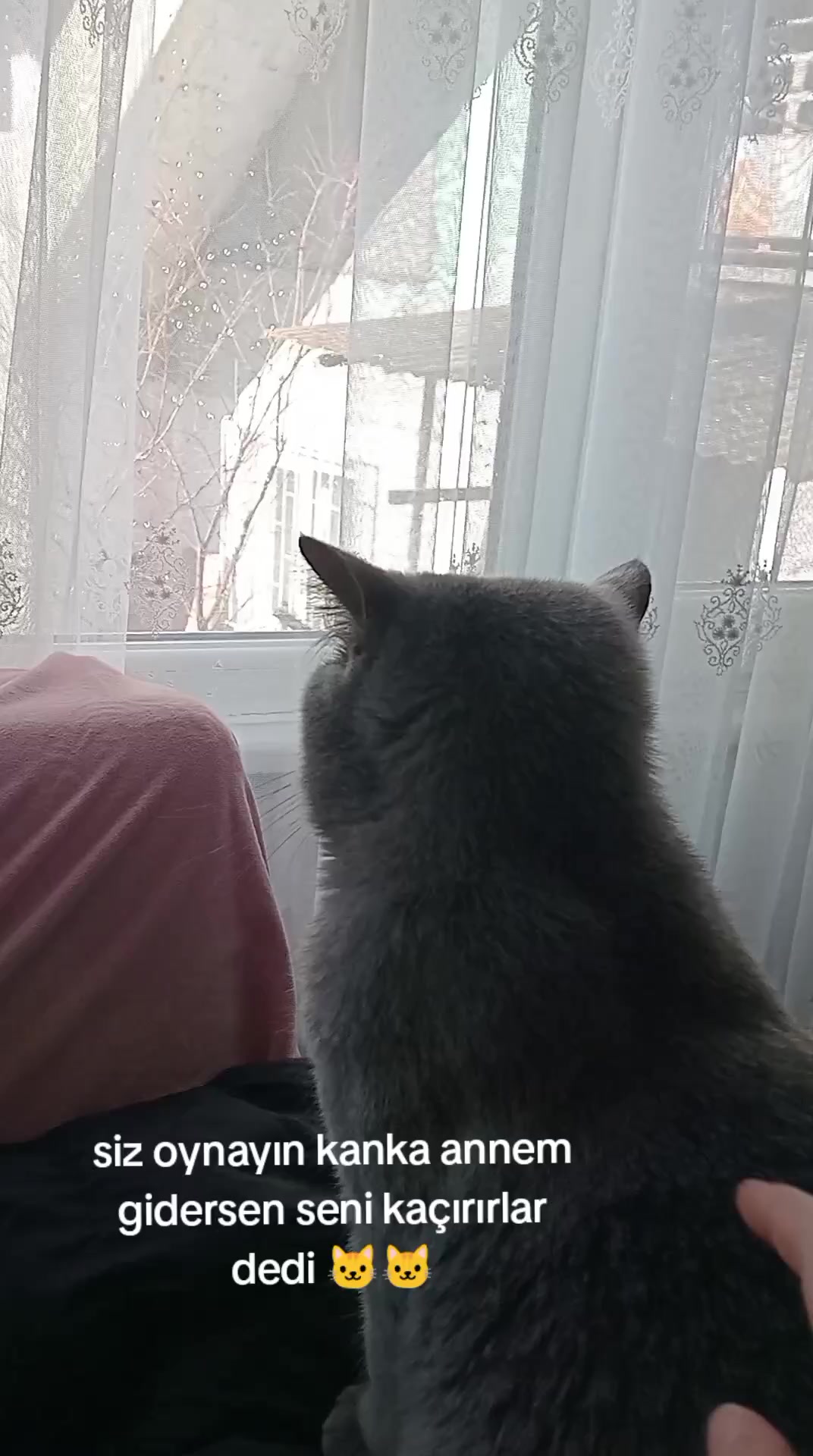 @Gülten Altunkaya