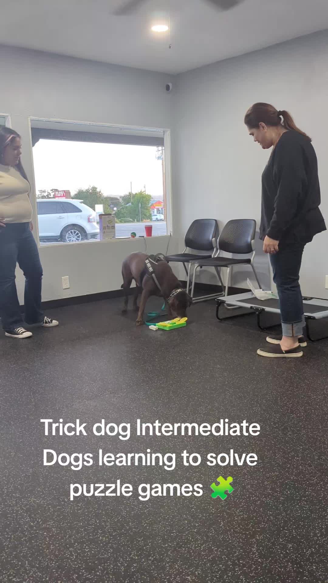 @South Paw Dog Training LLC