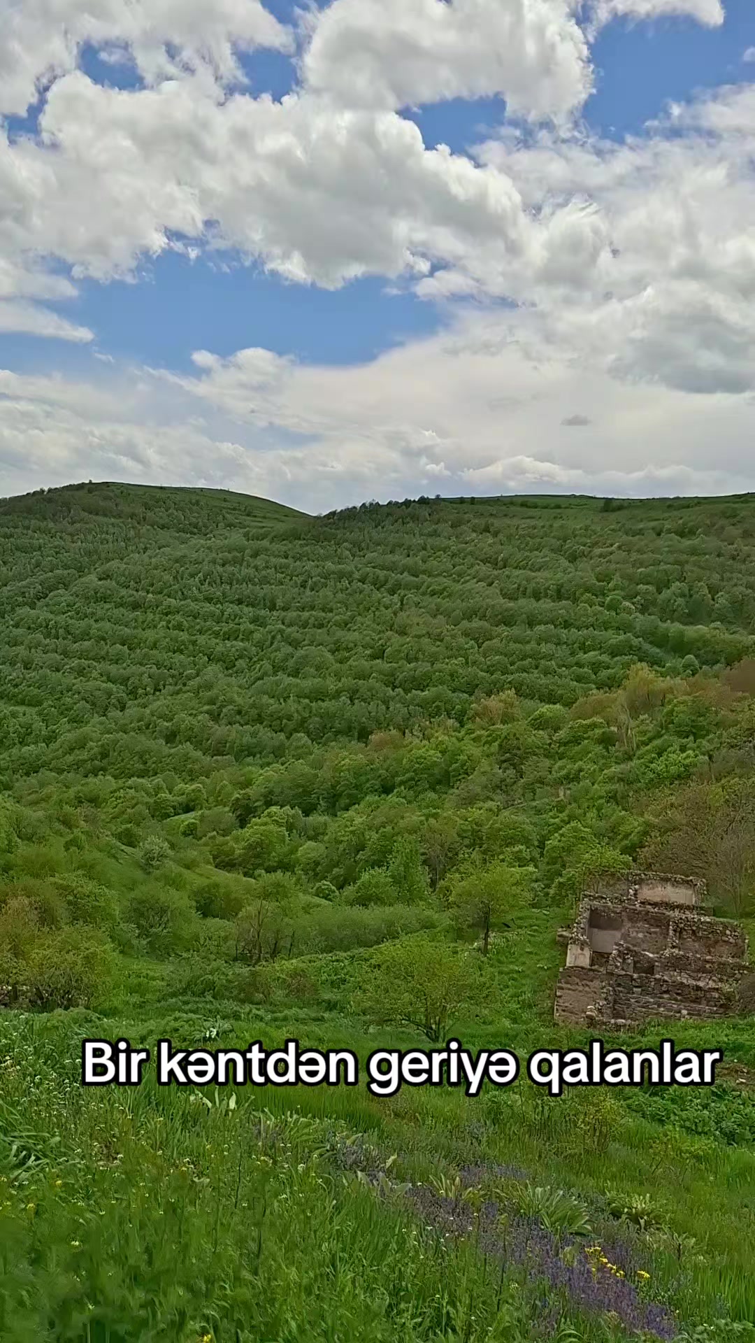 @꧁༺AMİL 041༻꧂🖤🦅𝟎𝟒𝟏