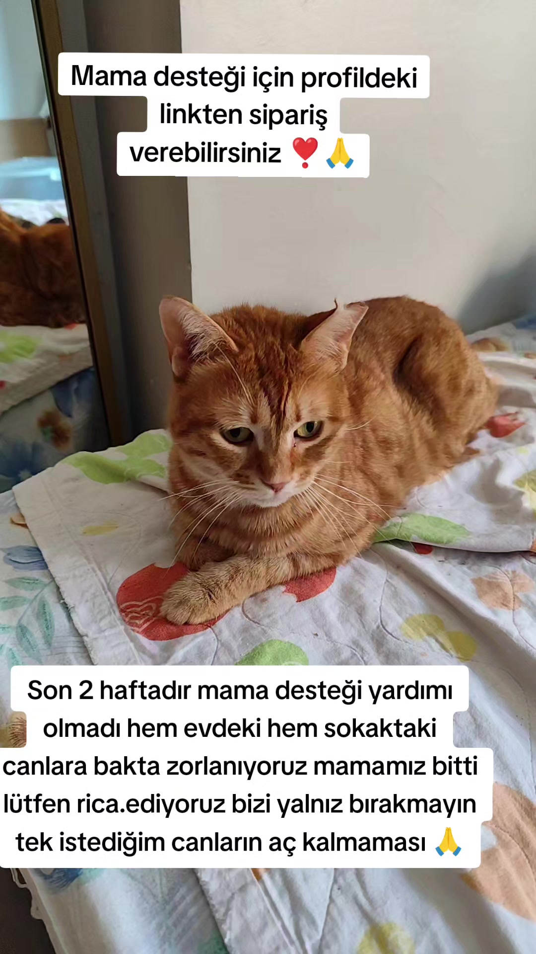 @@kedisizevolmaz