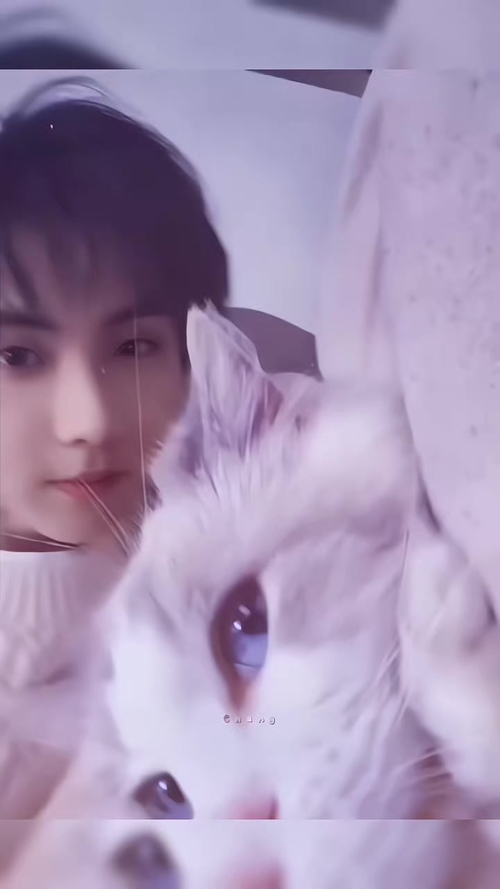 @𝐓𝐅_𝐂𝐡𝐚𝐧𝐠𝐠ˢʰⁿ🍿