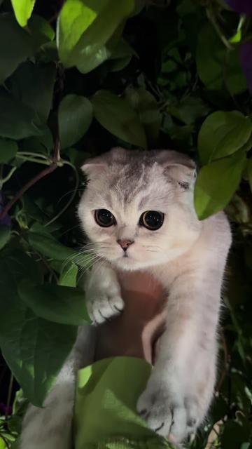 @❤️ ЛЁЛЯ - ТВОЯ СЛАБОСТЬ ❤️