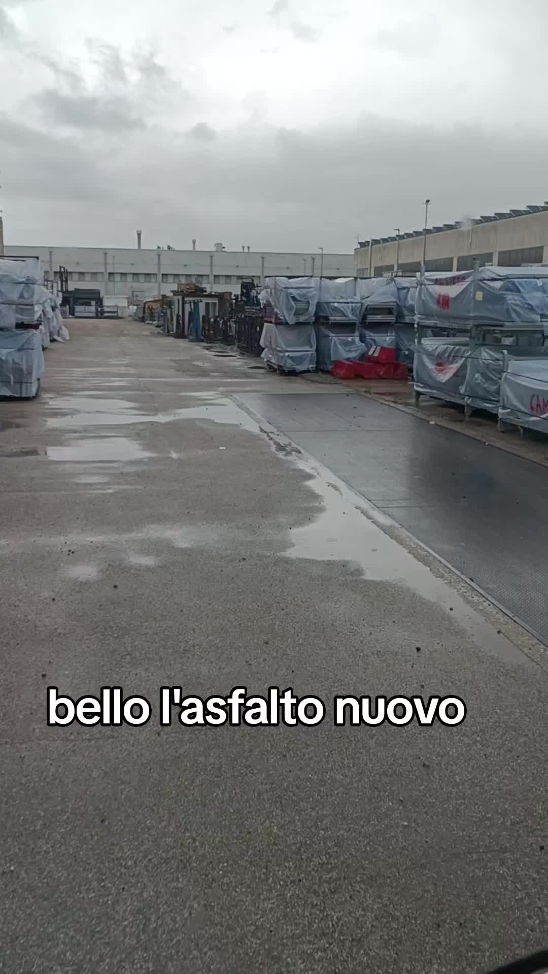 @Norma Canevese551