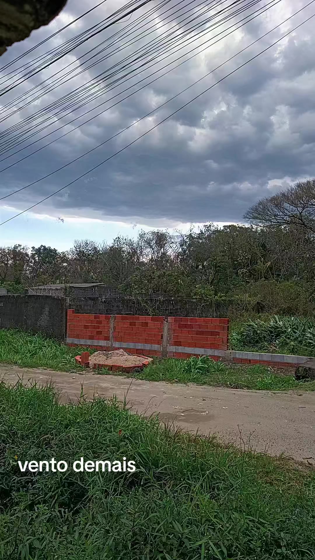 @mercedesartes1