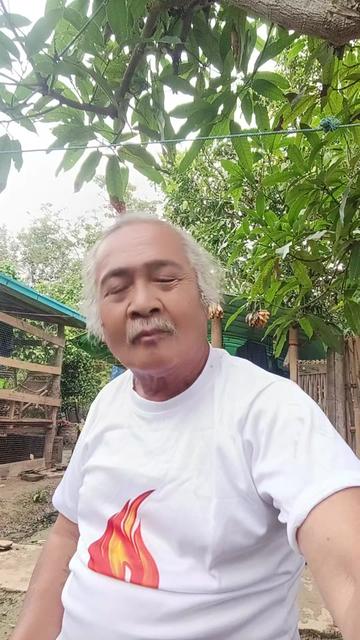 @Sai Lone