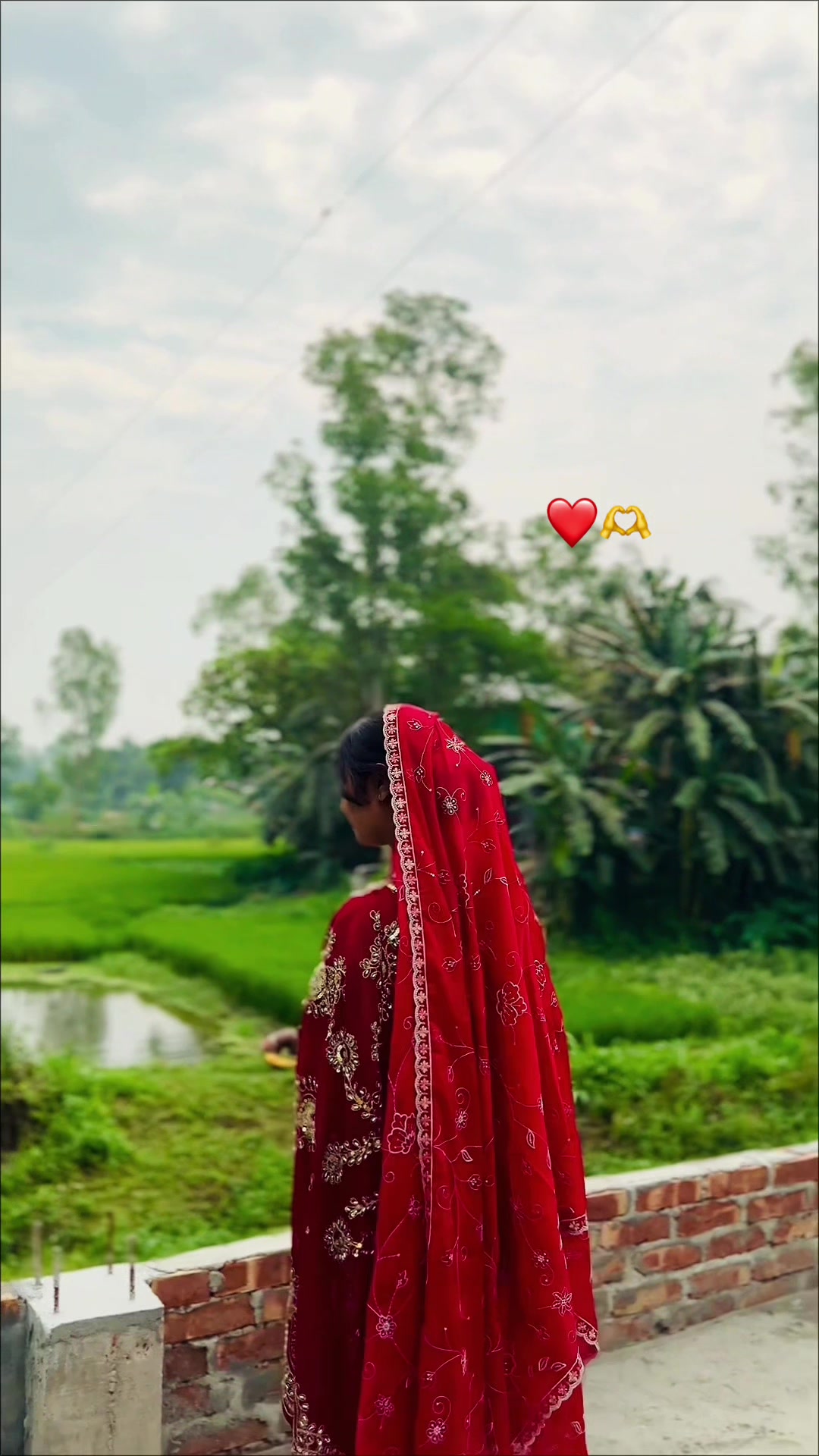 @🕊️
