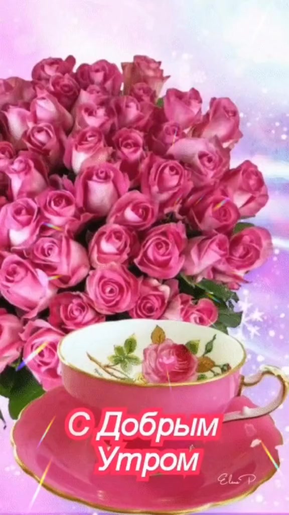 @Elena_7377