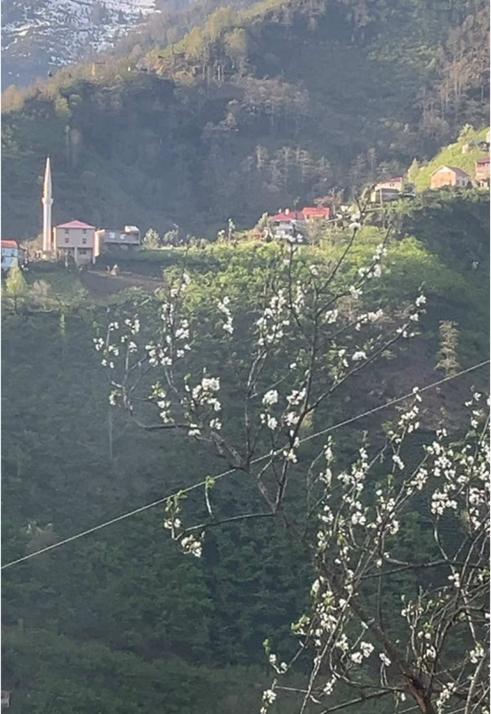 @💚28🤍 Tuğba.