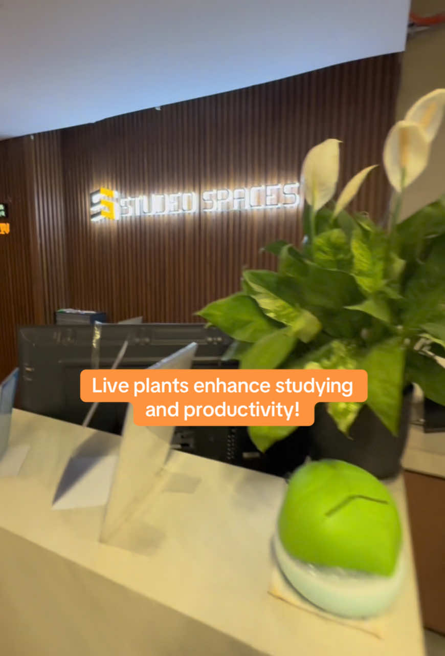@Studeo Spaces Study Hub