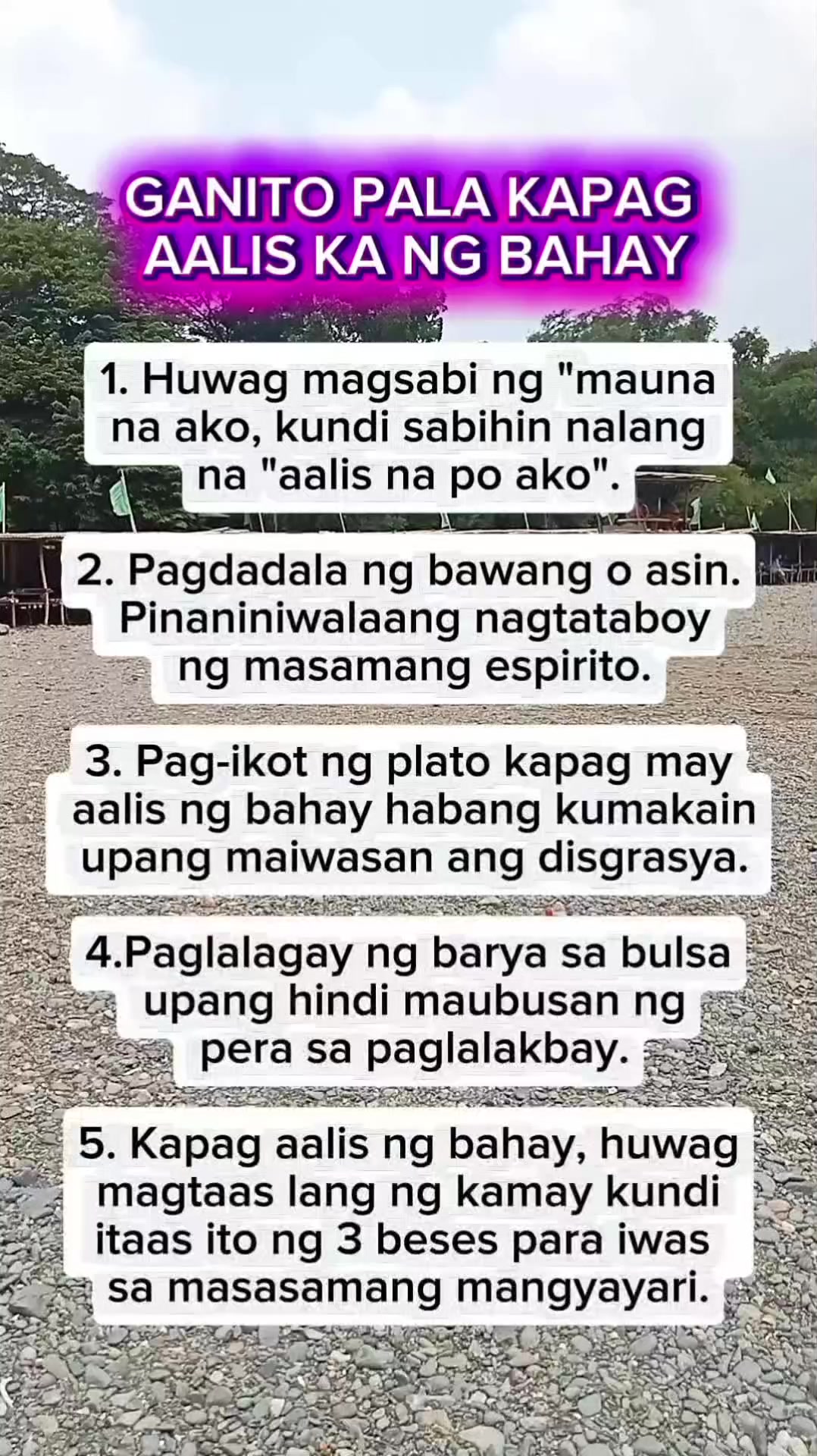 @🐝Tala Hives🐝