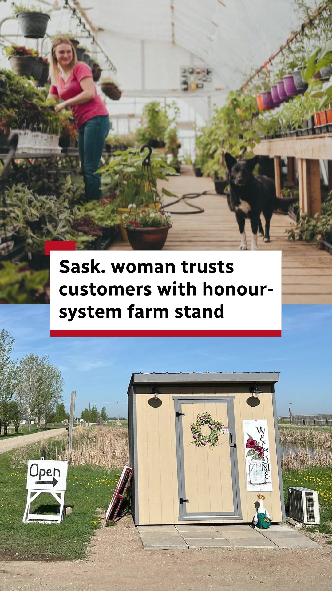 @CBC Saskatchewan