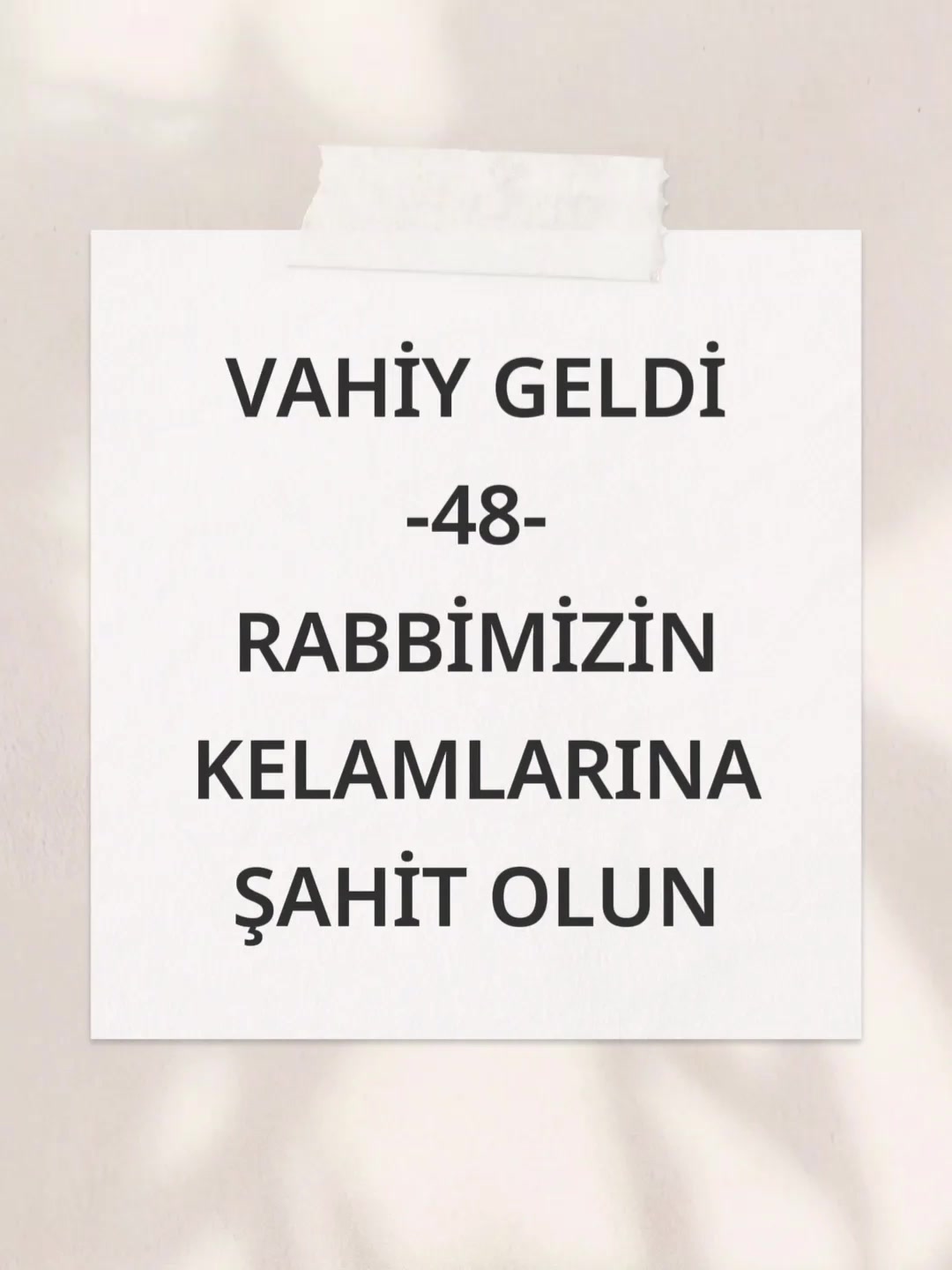 @Adedi berrak ahi