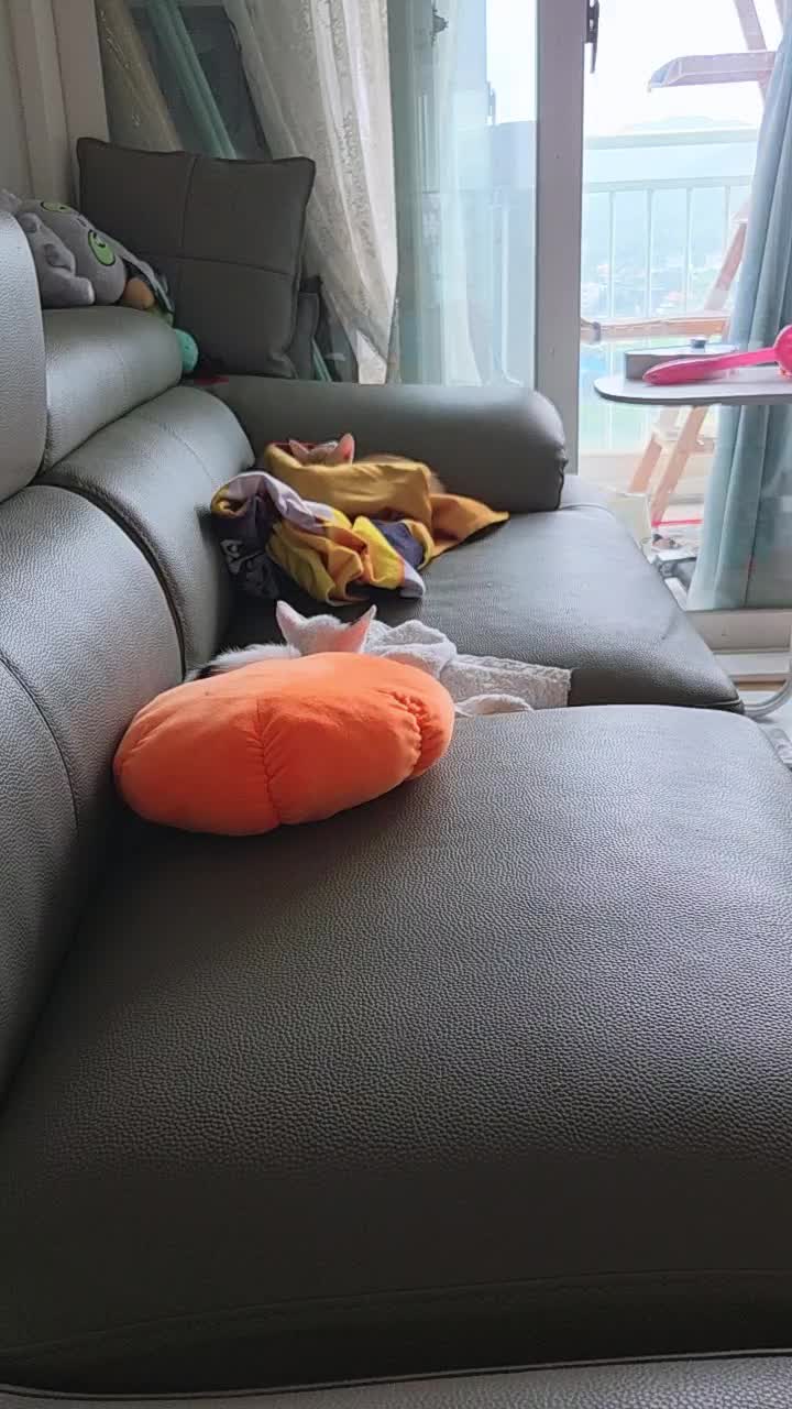 @wowwow
