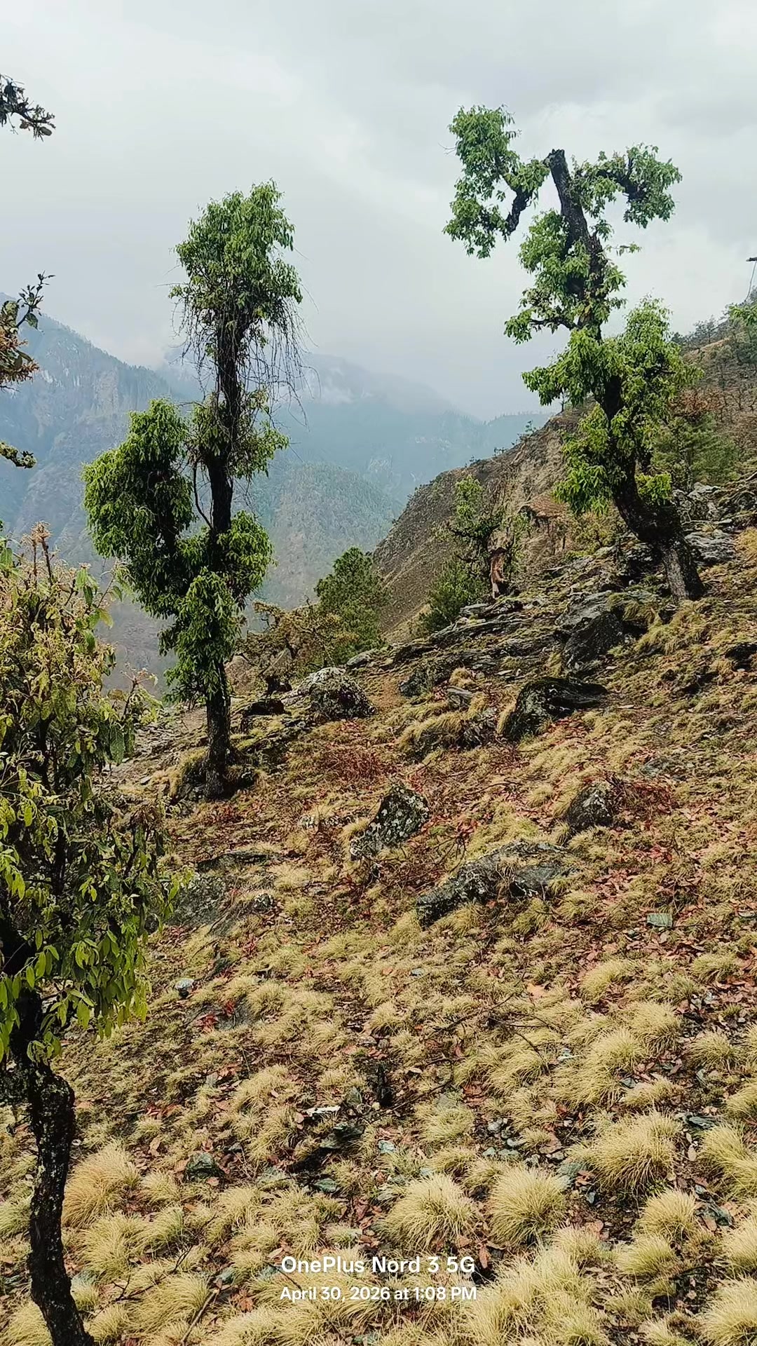 @Localvideo.Humla