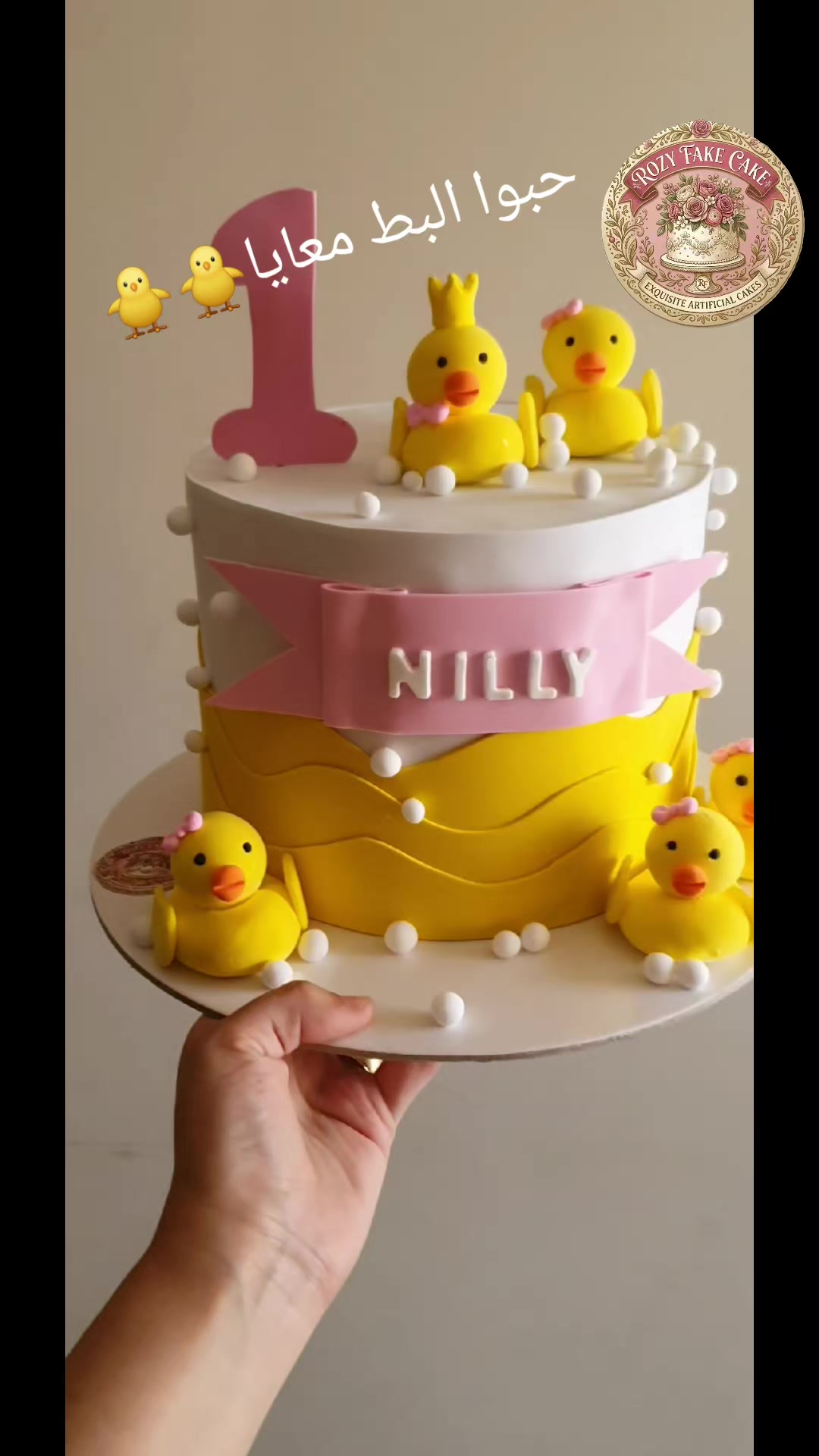 @Rozy Fake Cake📸📸