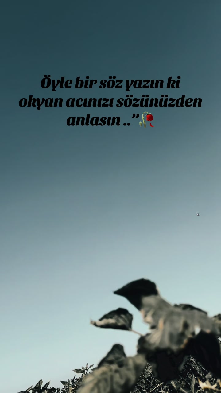 @Stori sayfam 🥀